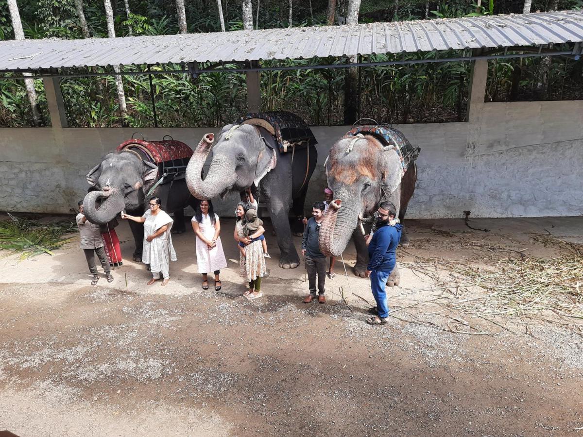 Sopanam Heritage เทกคาดี ภายนอก รูปภาพ